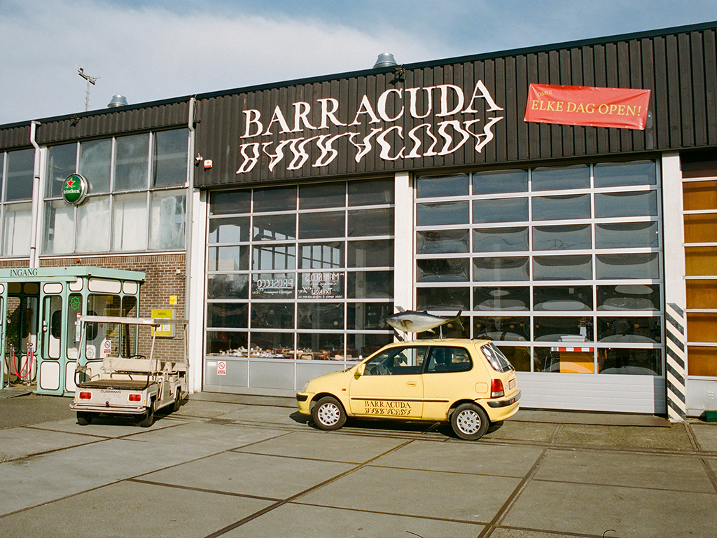 Barracuda